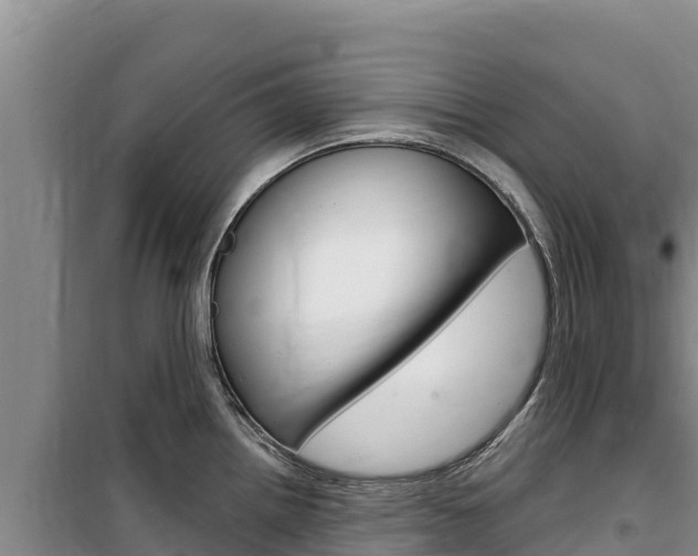 X0000100201242200805300740