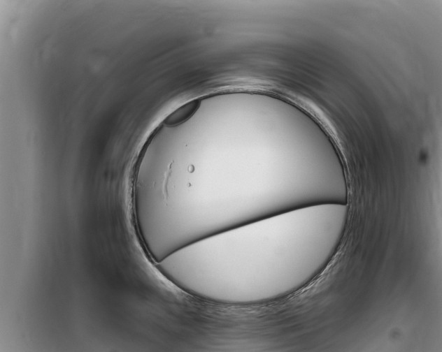 X0000100201243200805300740