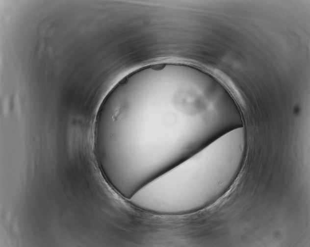 X0000100201244200805300740