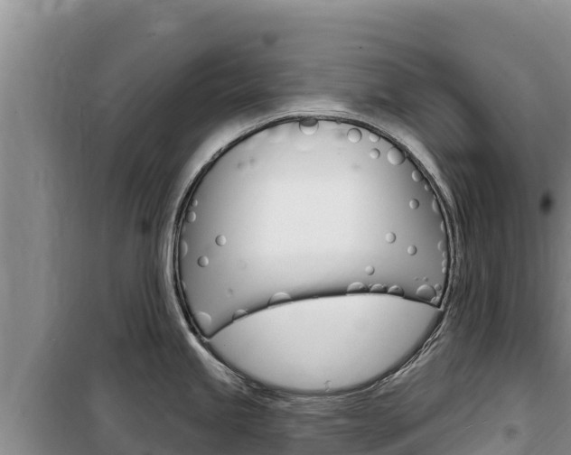X0000100201245200805300740
