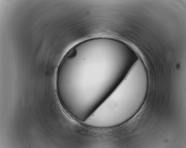 X0000100201246200805300740