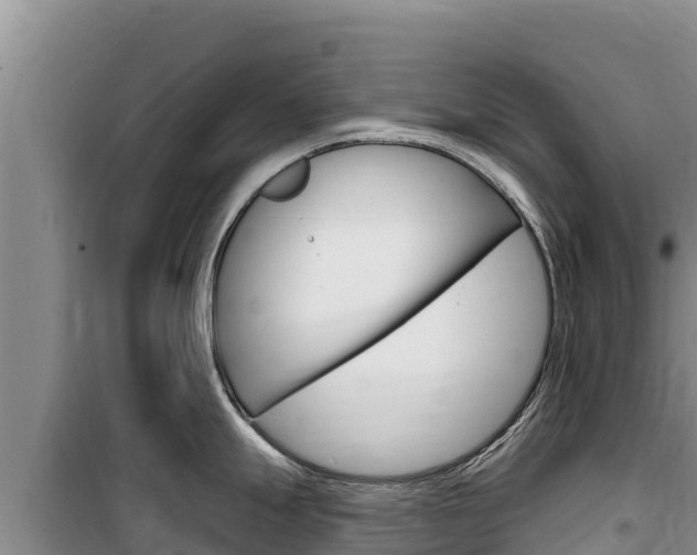 X0000100201247200805300740