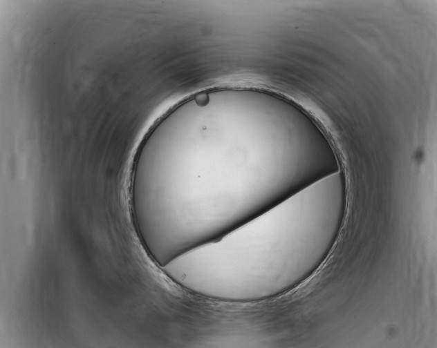 X0000100201248200805300740