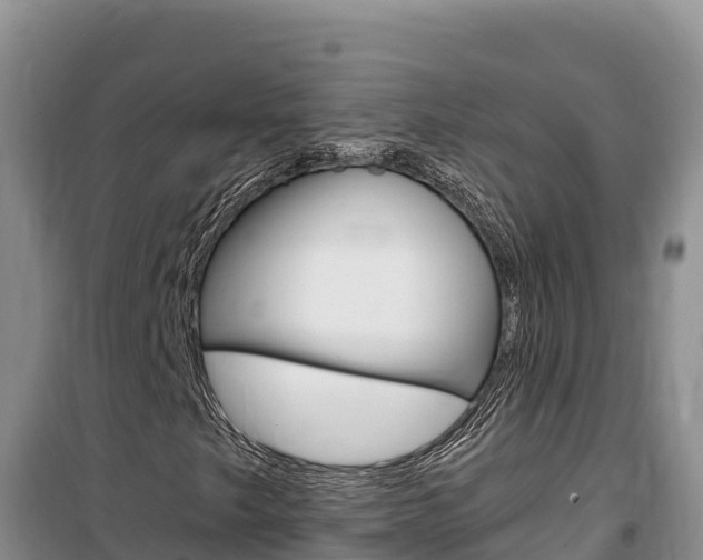 X0000100201249200805300739