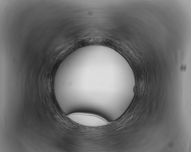 X0000100201250200805300739