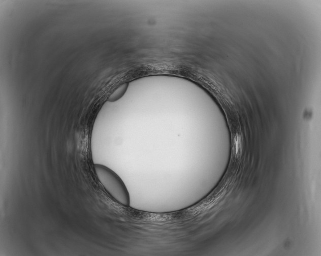 X0000100201251200805300739