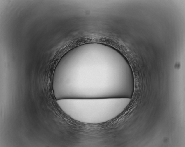 X0000100201253200805300739