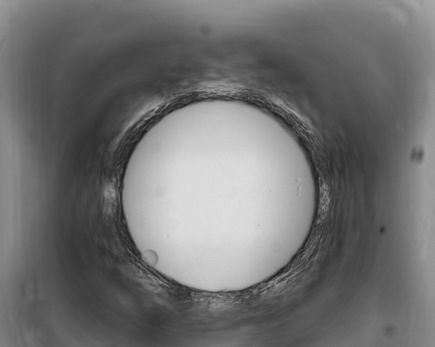 X0000100201254200805300739