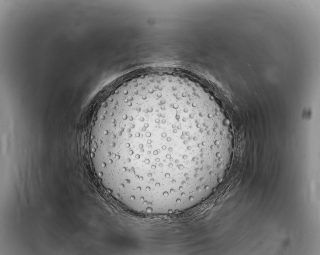 X0000100201255200805300739