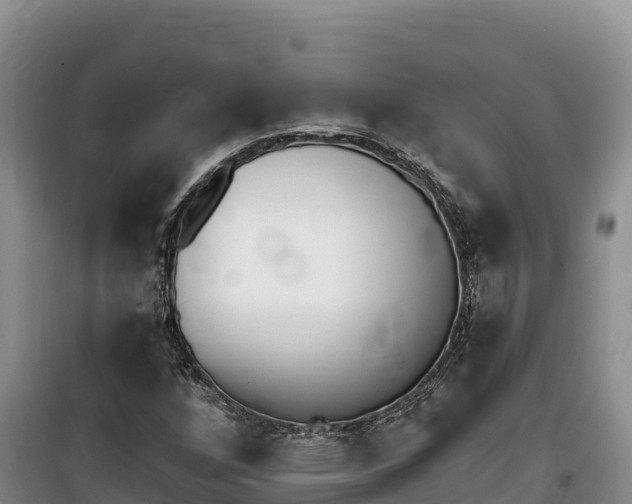 X0000100201256200805300739