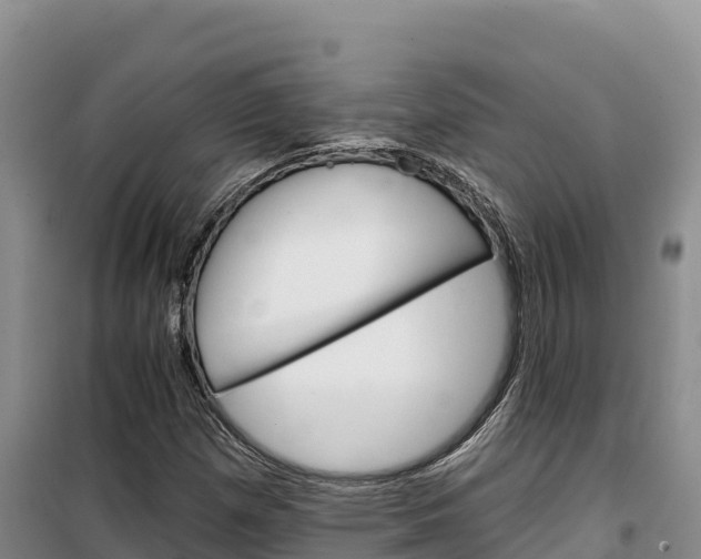 X0000100201257200805300739
