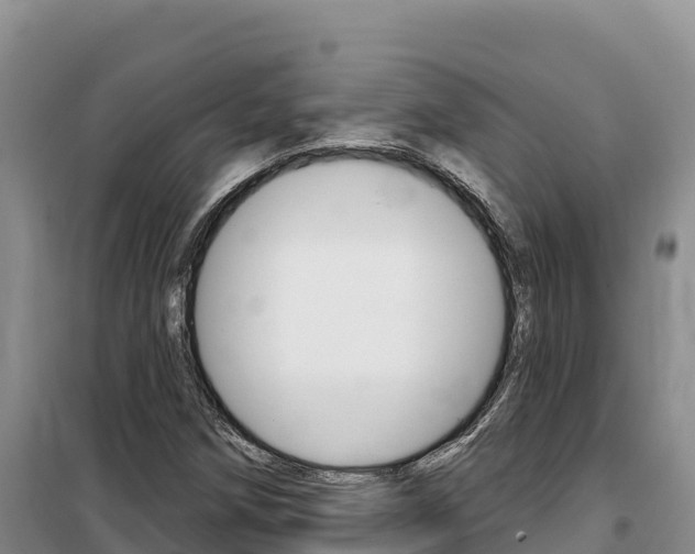 X0000100201258200805300739