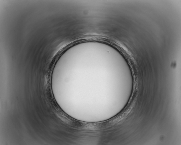 X0000100201259200805300739