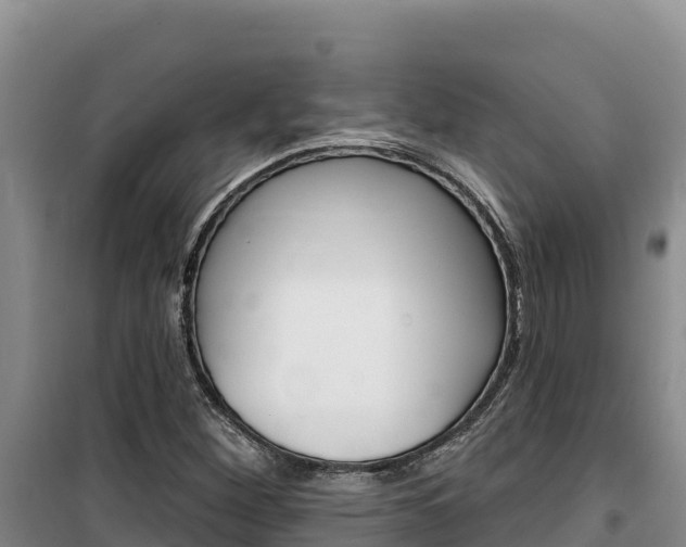 X0000100201260200805300739