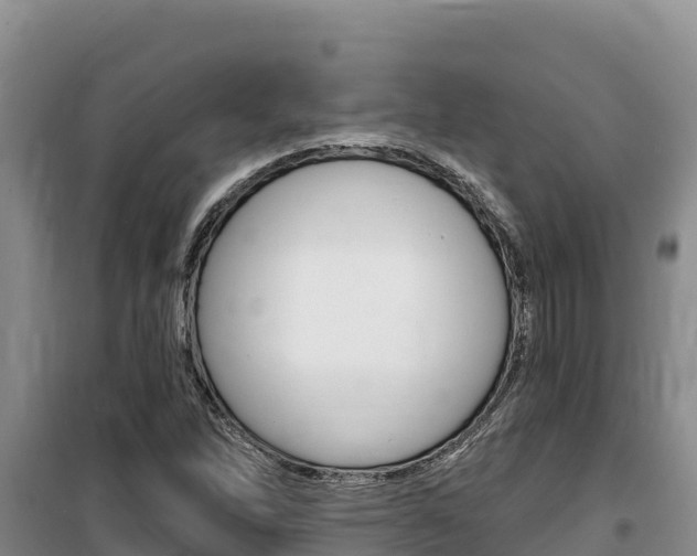 X0000100201262200805300739