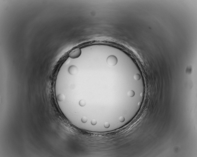 X0000100201263200805300739