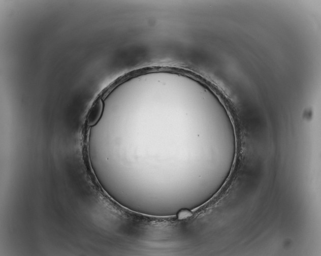 X0000100201264200805300739