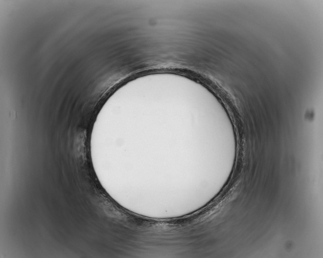 X0000100201265200805300739