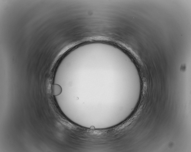 X0000100201266200805300739