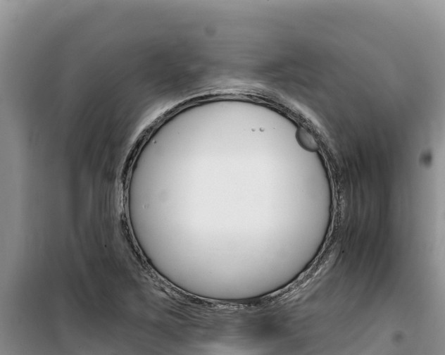X0000100201267200805300739