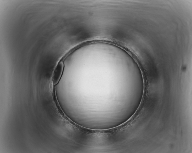 X0000100201268200805300739