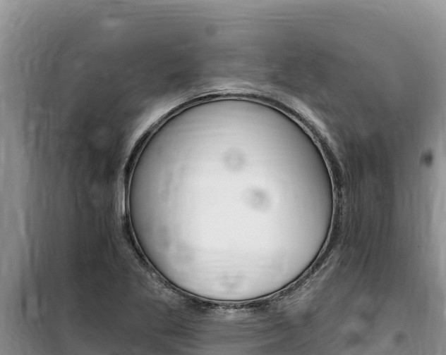X0000100201269200805300739
