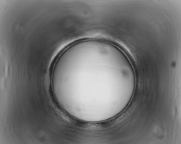 X0000100201270200805300739