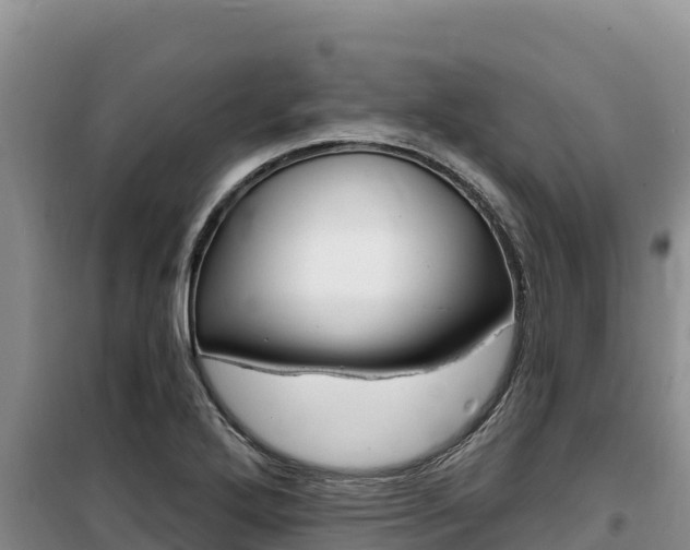 X0000100201272200805300739