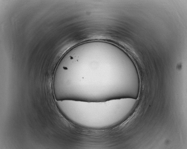 X0000100201273200805300739