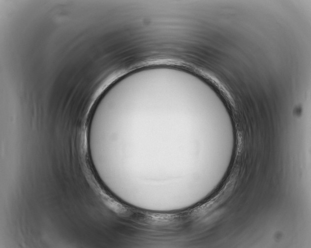 X0000100201274200805300739