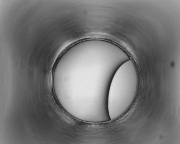 X0000100201275200805300739