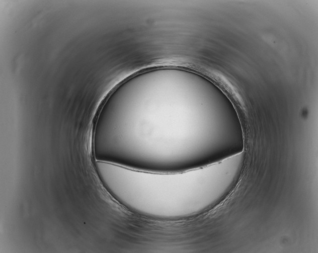 X0000100201276200805300739