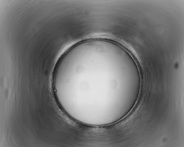 X0000100201277200805300739