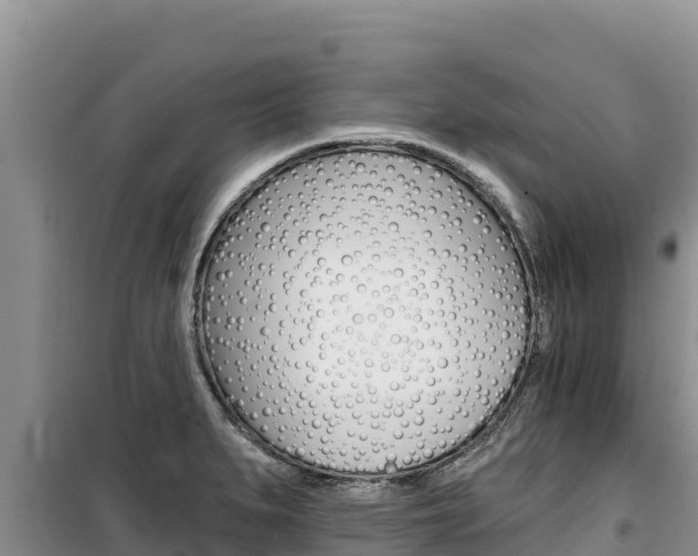 X0000100201279200805300739