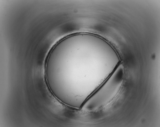 X0000100201280200805300739