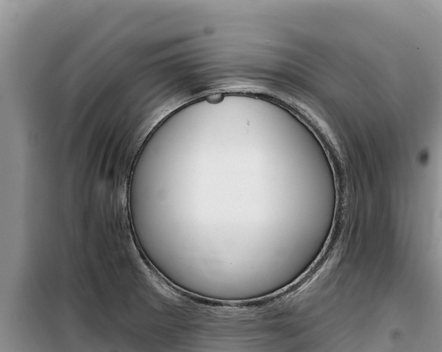 X0000100201281200805300739