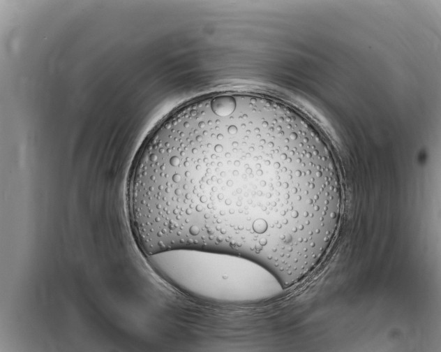 X0000100201283200805300739