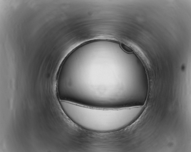 X0000100201284200805300739