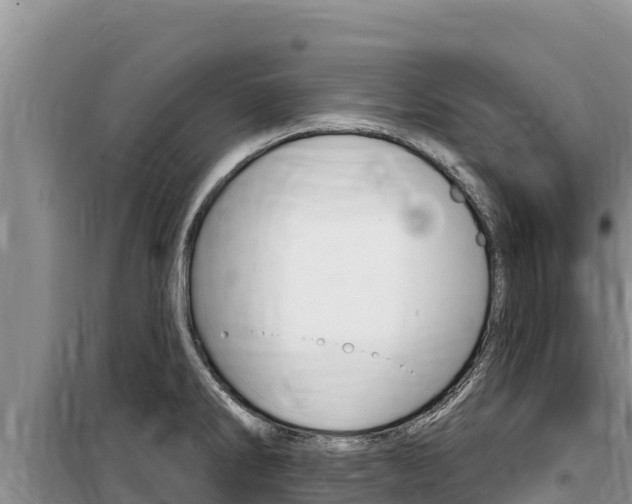 X0000100201286200805300739