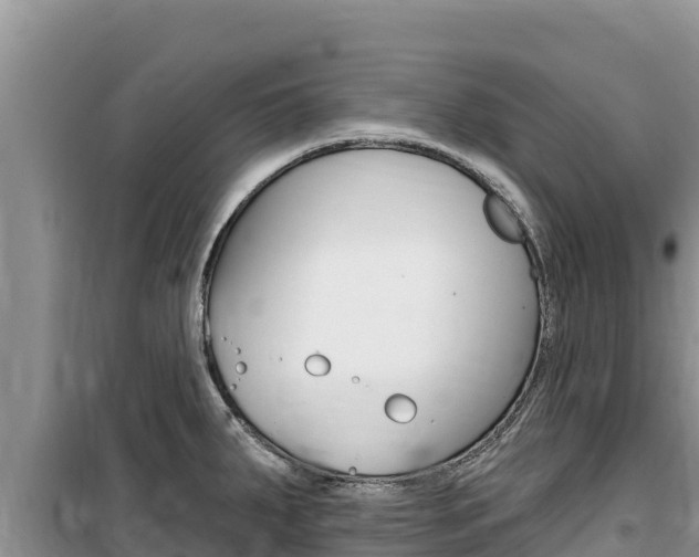 X0000100201287200805300739