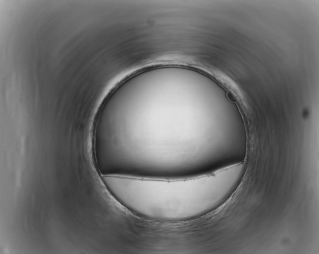 X0000100201288200805300739
