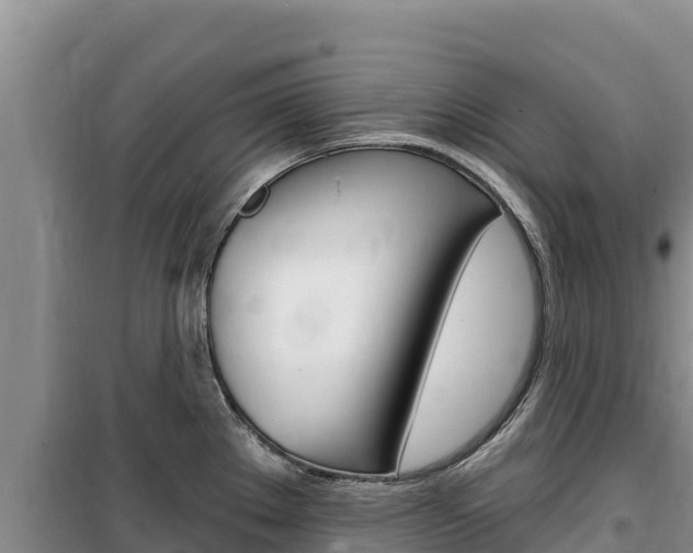 X0000100201289200805300739