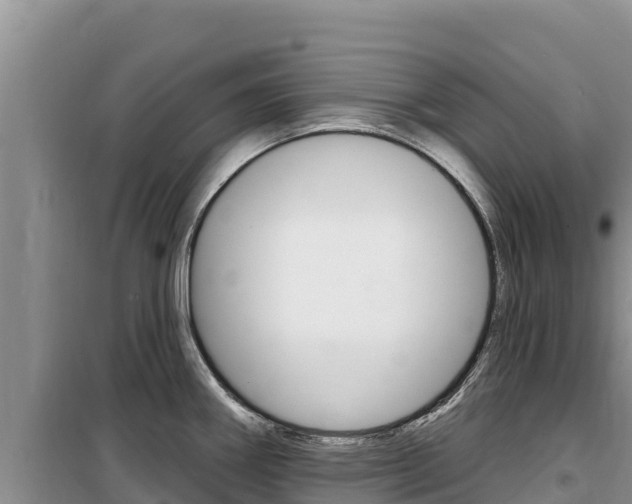 X0000100201290200805300739