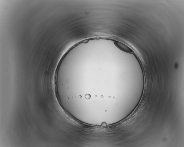 X0000100201291200805300739