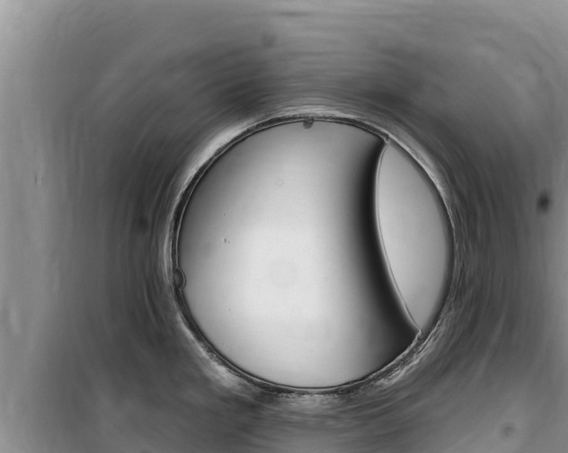 X0000100201293200805300739