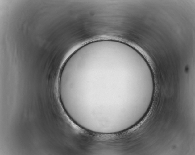 X0000100201294200805300739