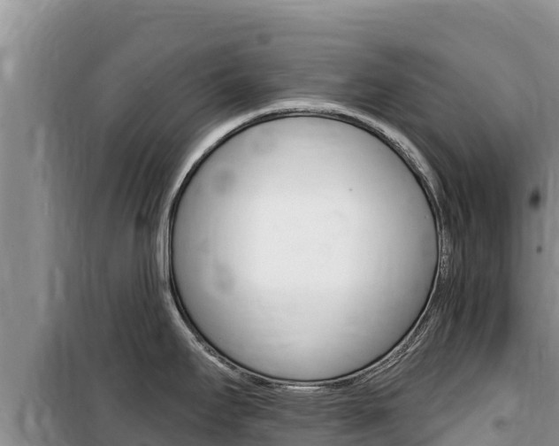 X0000100201295200805300739