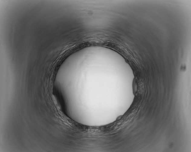 X0000100201297200805300738