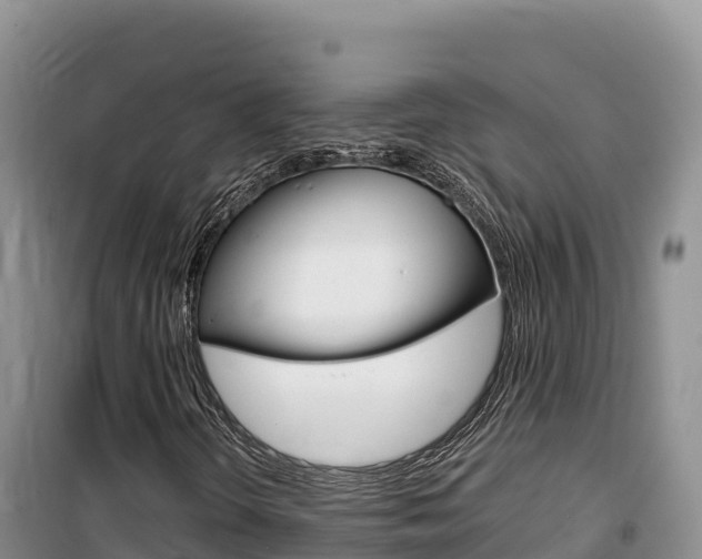 X0000100201298200805300738