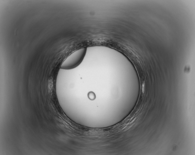 X0000100201299200805300738